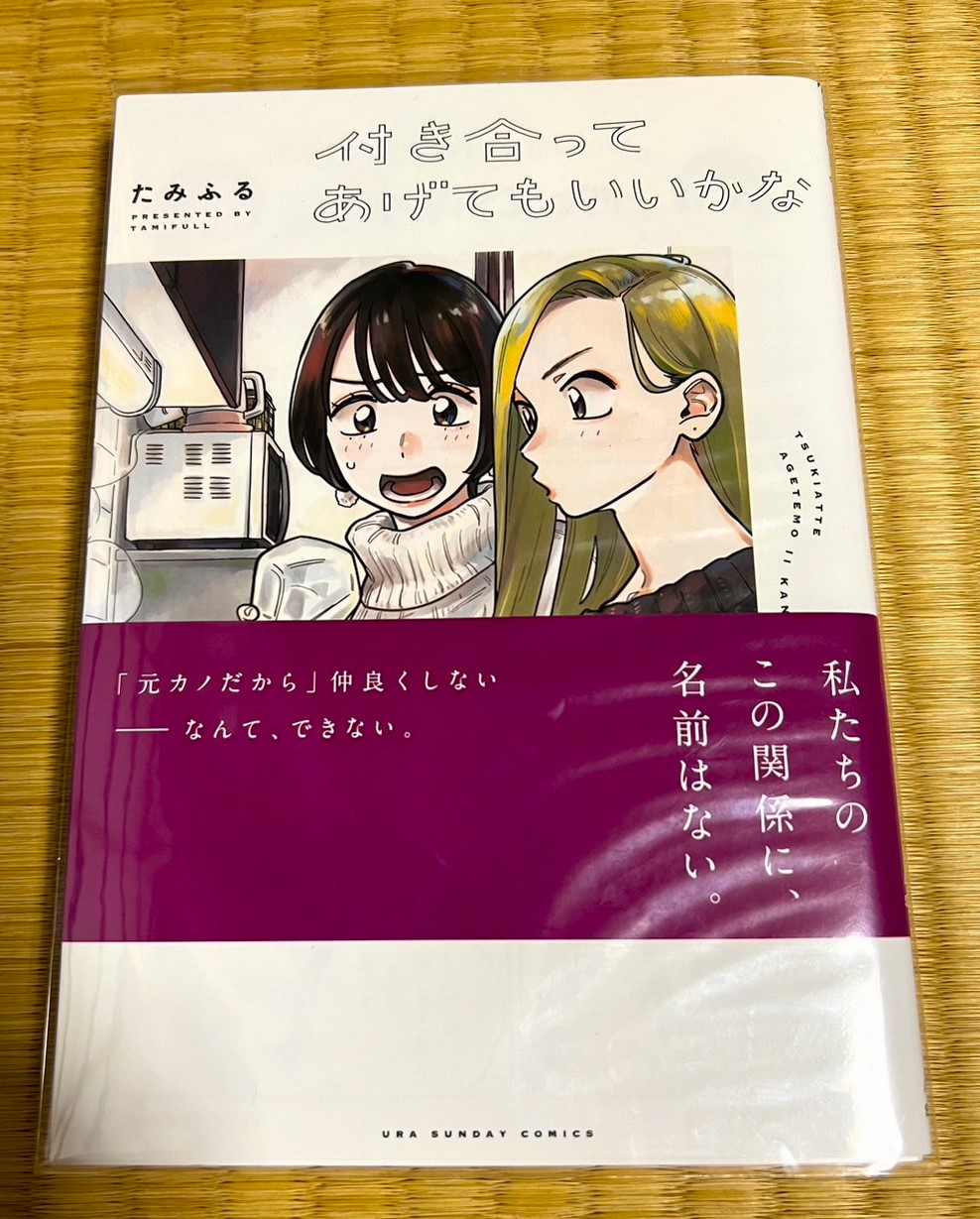付き合ってあげてもいいかな ネタバレ感想 復縁を願ってやまない